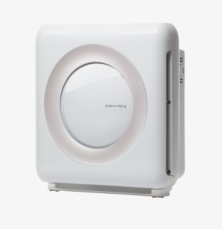 best air purifier for mildew smell