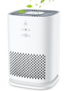 Elechomes Air Purifier for Home with True HEPA Filter - Best Air Purifier under 100 Dollars