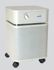 Best Air Purifier for Salon - Austin Air A450A1 HealthMate Plus Standard Air Purifier