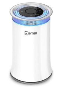 9 Best  Air  Purifiers  for Cat  Litter Odor in 2021 Best  