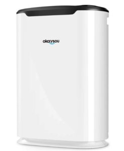 Okaysou AirMax8L Medical Grade Ultra-Duo Air Purifier - Best Air Purifier for Chemicals and Paint Fumes