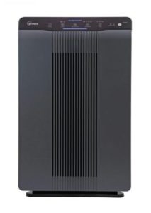 Winix 5500-2 Air Purifier with True HEPA - Best Air Purifier for Chemicals and Paint Fumes