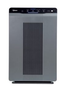 Best Air Purifier for Kitchen - Winix 5300-2 Air Purifier with True HEPA