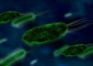 Indoor Air Pollutants and Their Sources - Bacteria